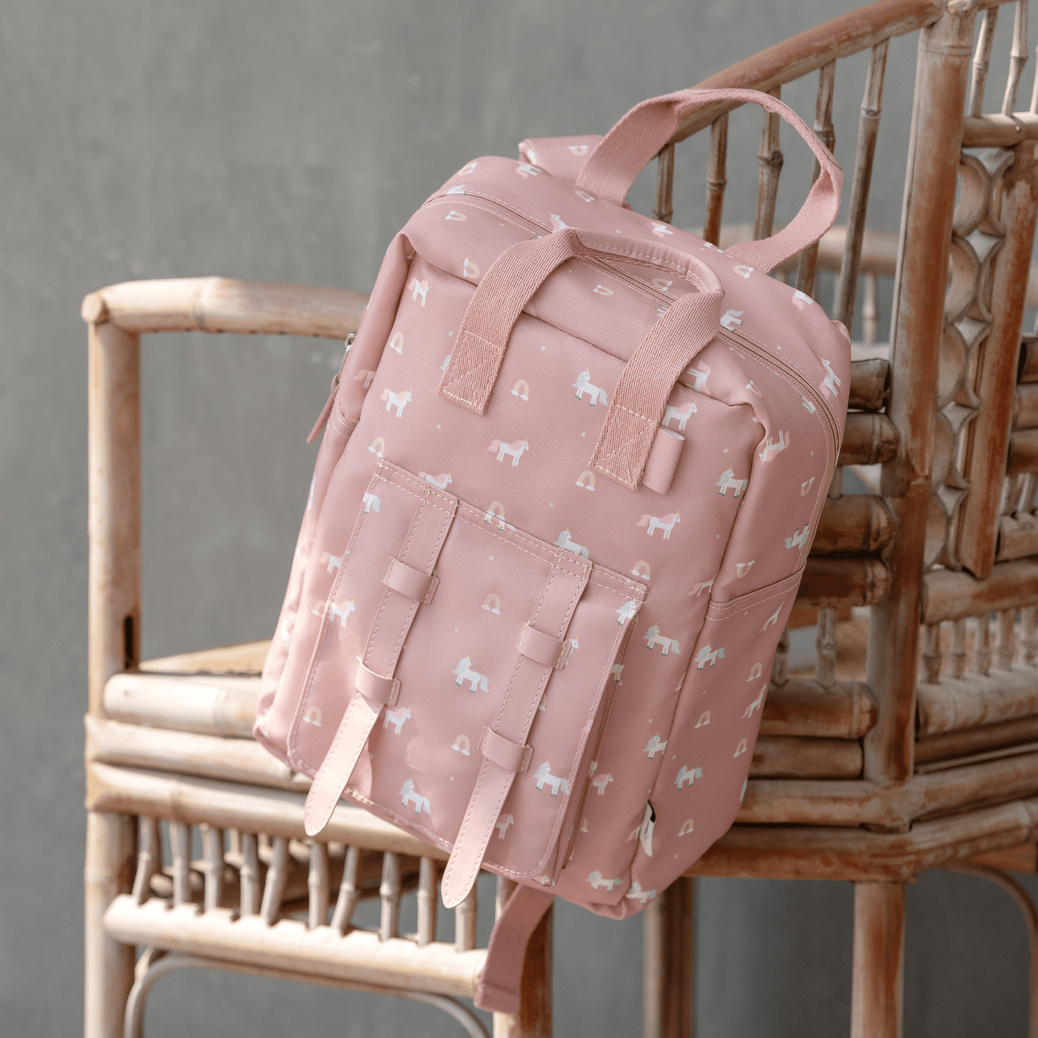 Back Pack