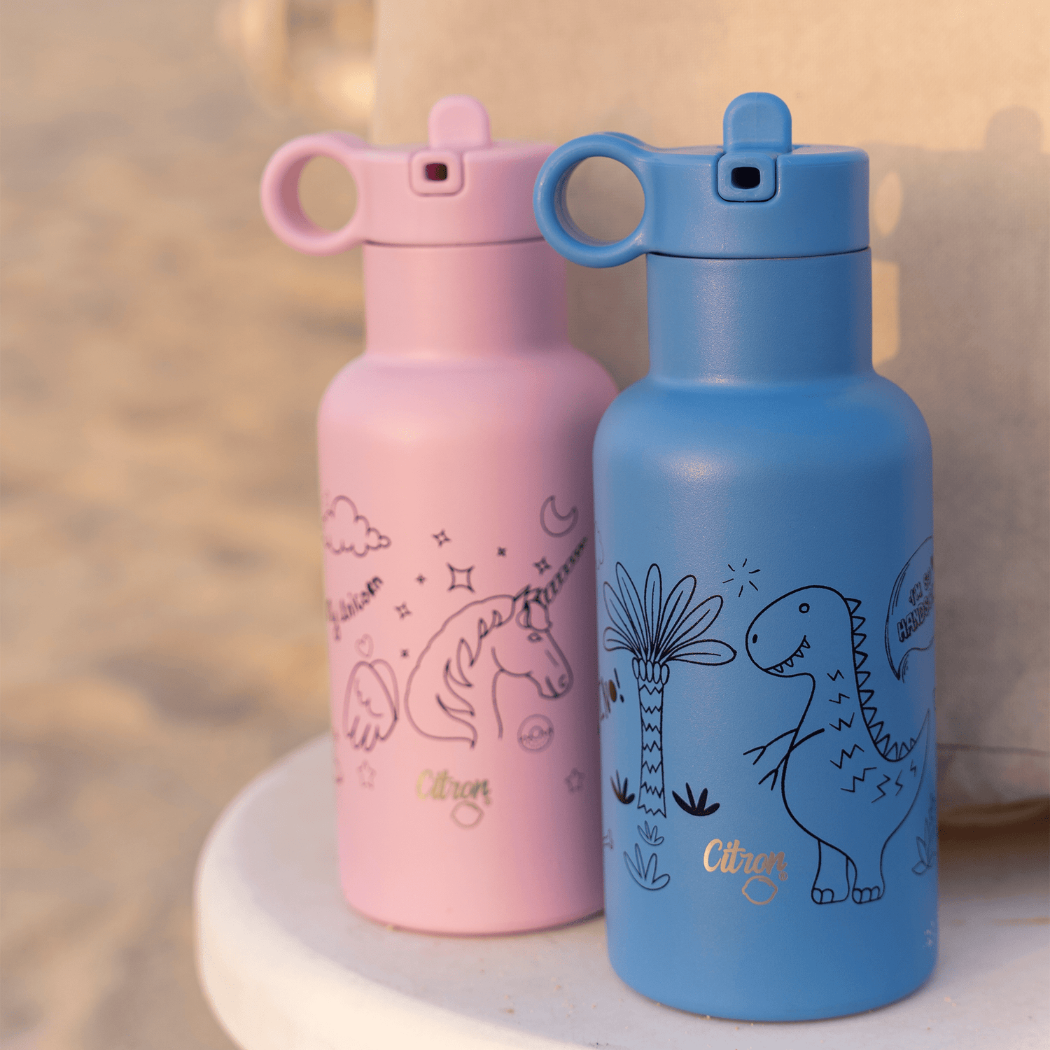 Water bottle Sales